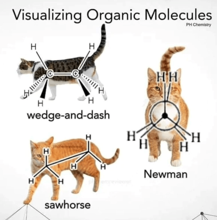 h-h-h-wedge-and-dash-phchemreviewe-h-h-hh-ph-chemistry-h-h-h-h-sawhorse-h-pemreviewer-newman.png