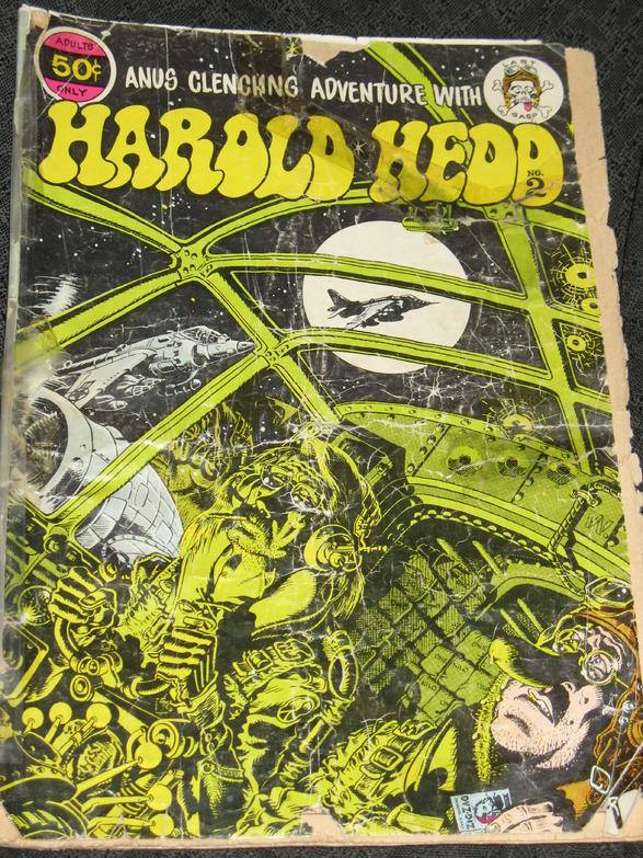 Harold Hedd Front Cover.jpg