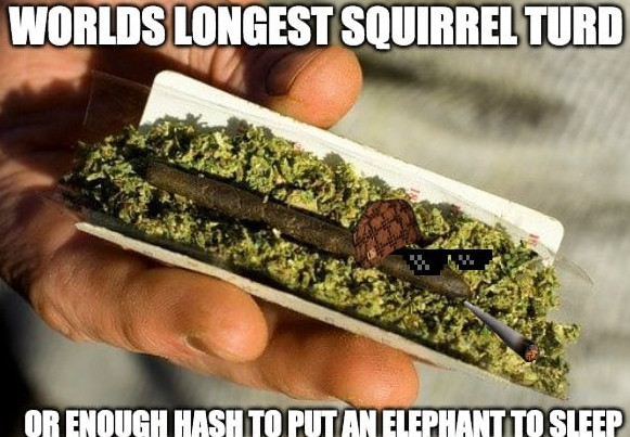 hash-blunt-meme.jpeg