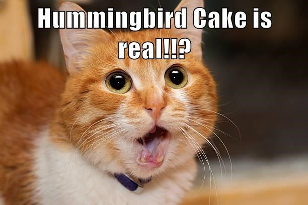 hummingbird-cake-is-real.jpg