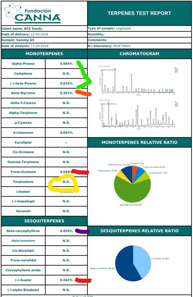 InkedSammy A5 análisis terpenos.jpg