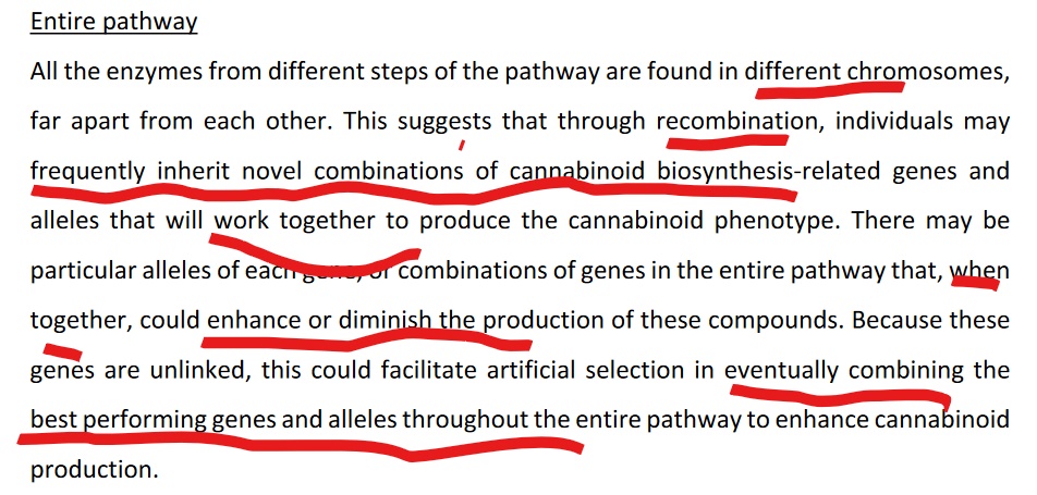 InkedScreenshot 2023-05-05 at 22-59-46 Genomic description of critical upstream cannabinoid bi...jpg