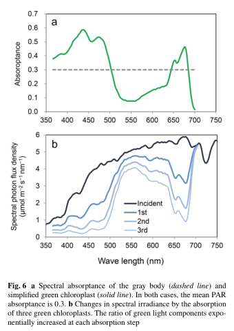 Intra-canopy spec change per incident.png