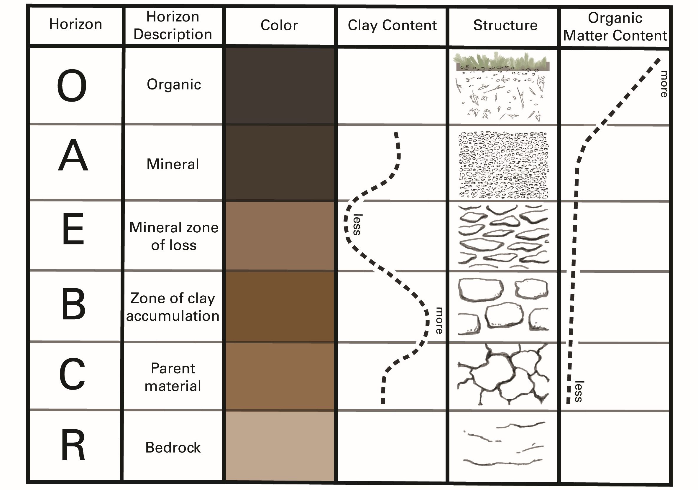 iowas_nature_soil_properties-e1721919128941.jpg