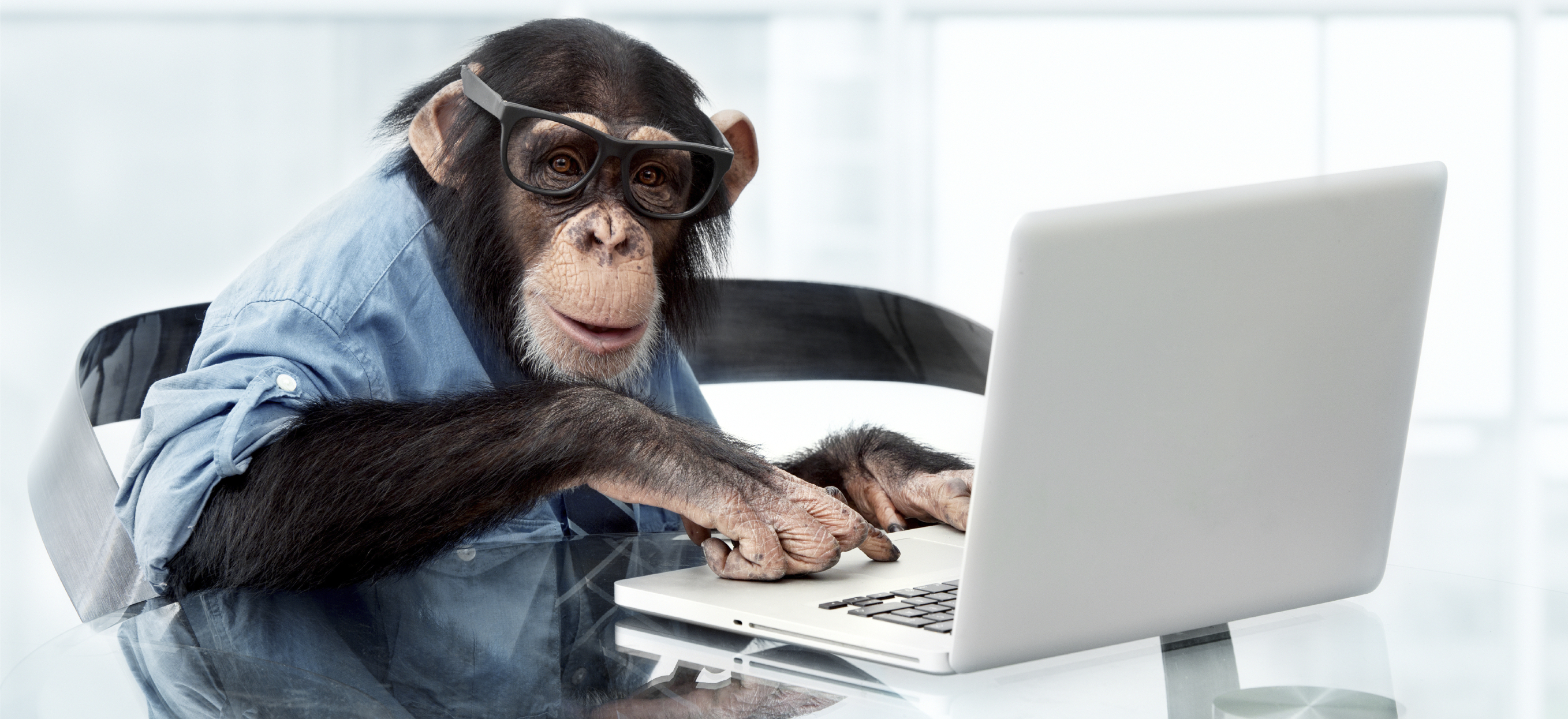 istock-18586699-monkey-computer_brick-8db56ae5dcc69368afa4d1fa97438b9056b1624e.jpg