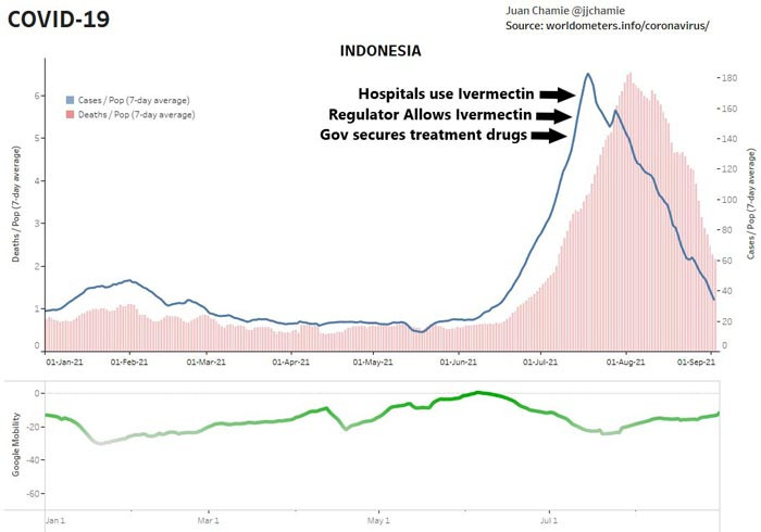 ivermectin-graph.jpg