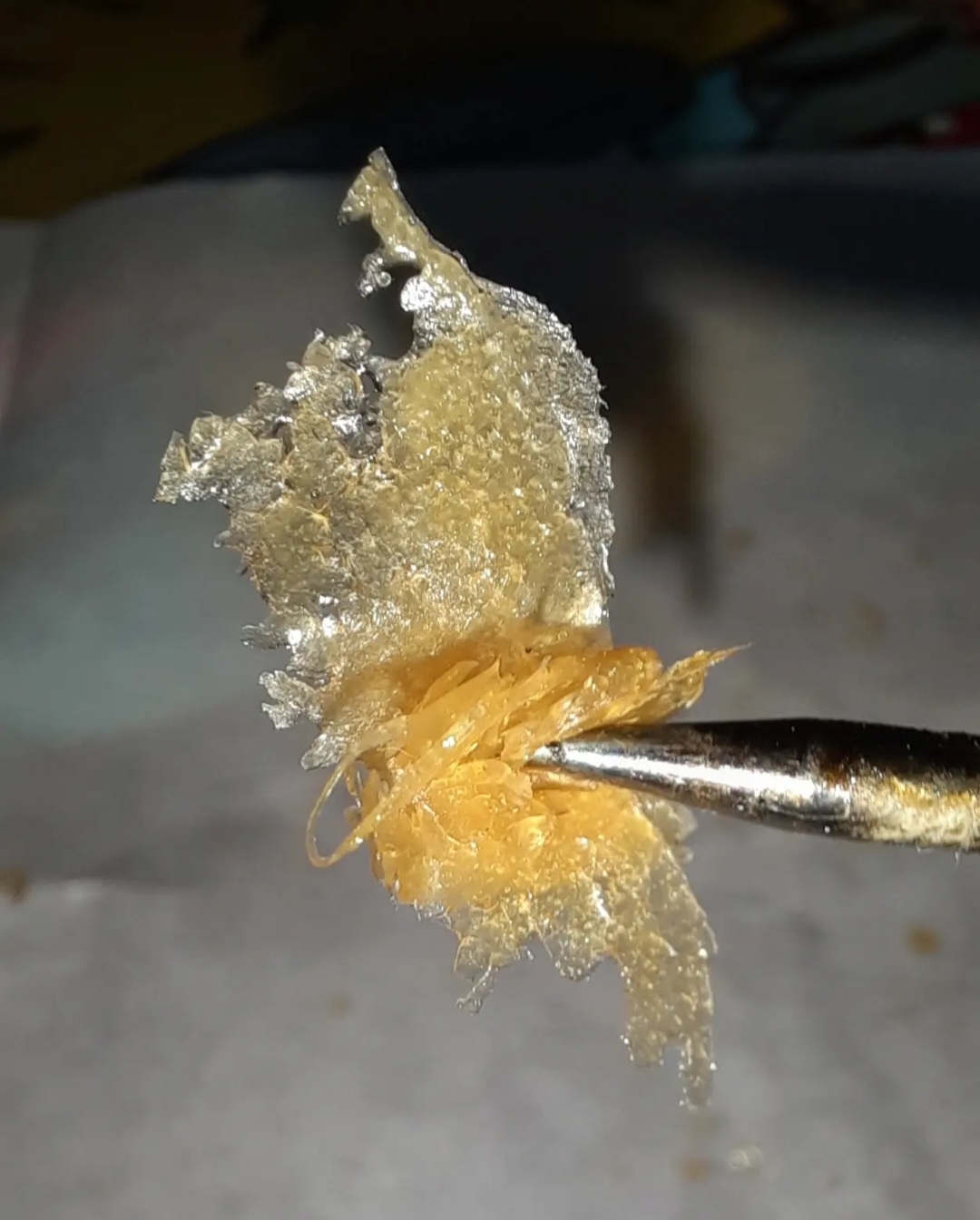 KA5H_Rosin2.jpg