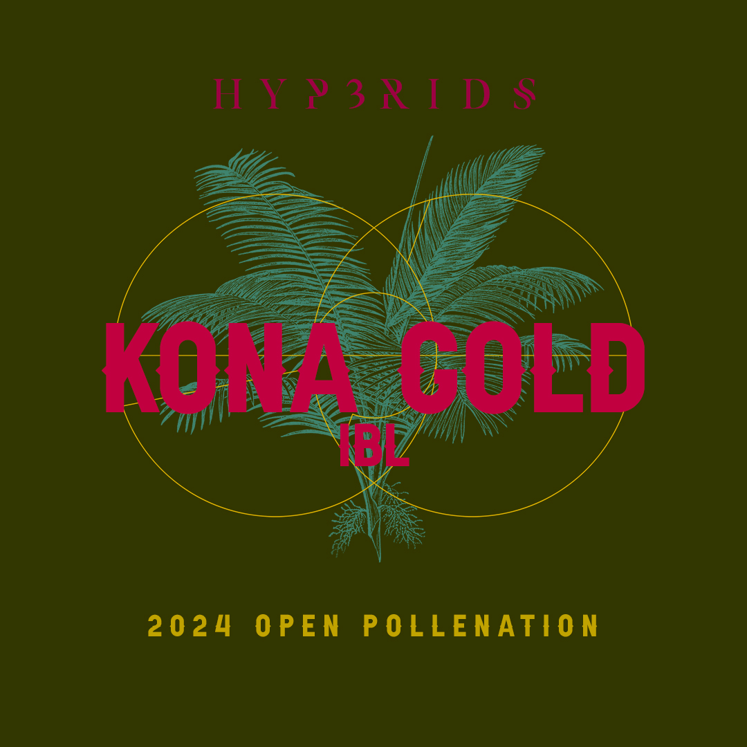 KONA_GOLD_01_OP_IG.jpg