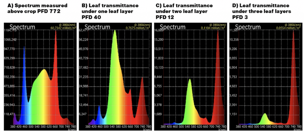 Leaf-Transmittance-1024x446.png