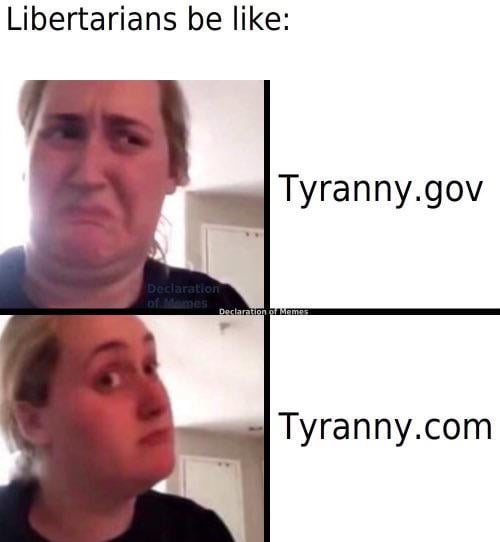 libertarian-shitpost-v0-lbd1vk6ojy5d1.jpeg