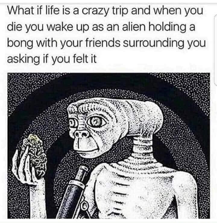 life-is-crazy-trip-and-die-wake-up-as-an-alien-holding-bong-with-friends-surrounding-asking-i...jpeg