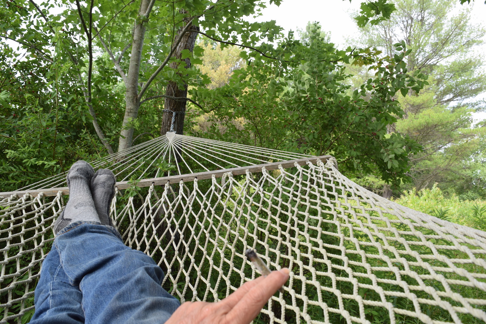 loose hammock.JPG