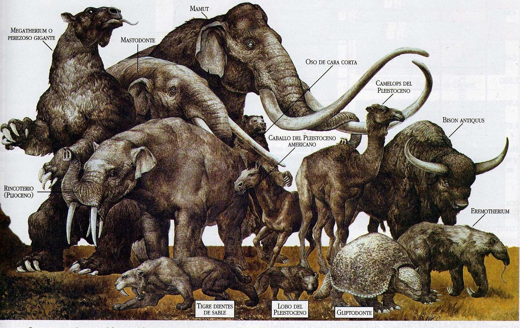 megafauna.jpg