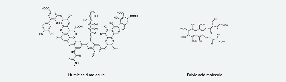 Molecules.jpg