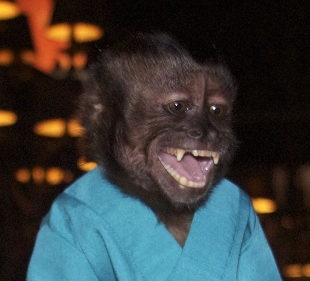 monkey smile.jpg