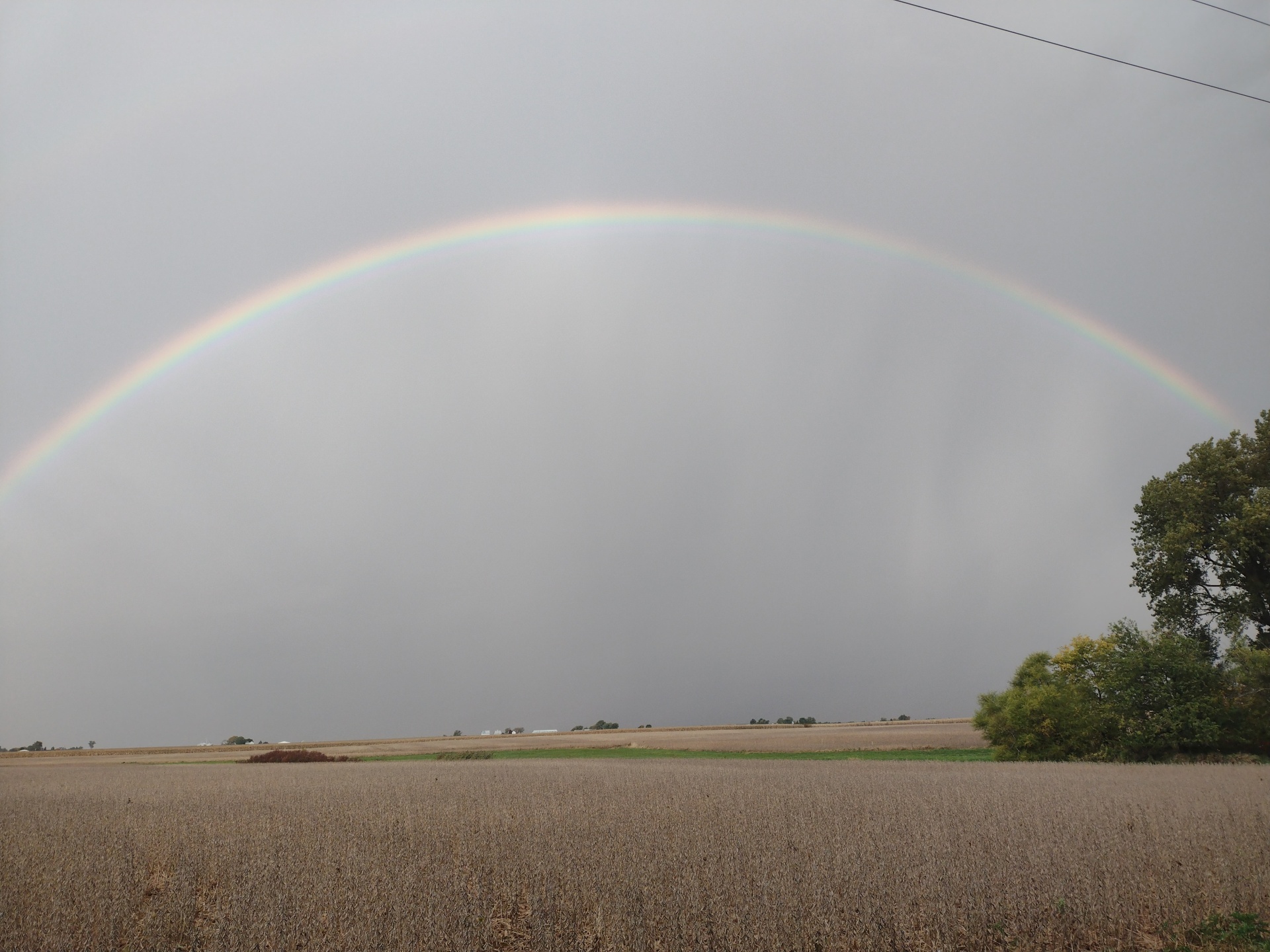 Morning rainbow.jpg