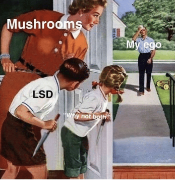 mushroom-my-ego-lsd-why-not-b-versatile-meme-format-43967604.png.7988ce0f120a7224ead813c56a5a3...png