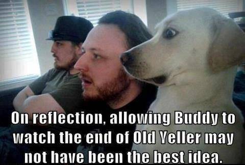 Old Yeller.jpg