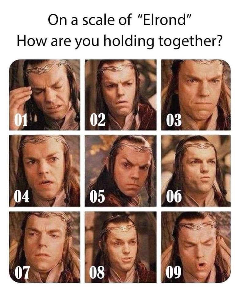 on-scale-elrond-are-holding-together-01-02-03-04-05-06-07-08-09.jpeg