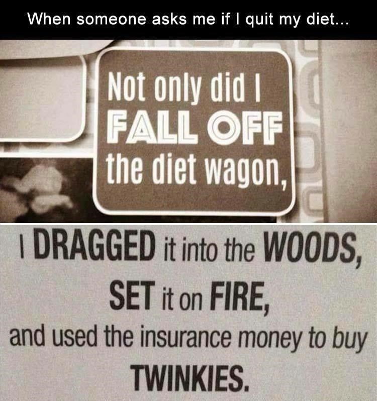 only-did-fall-off-diet-wagon-dragged-into-woods-set-on-fire-and-used-insurance-money-buy-twin...jpeg