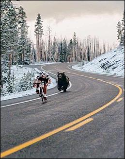 Out ride the bear.jpg