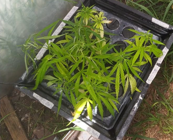 Outdoor cloning.jpeg