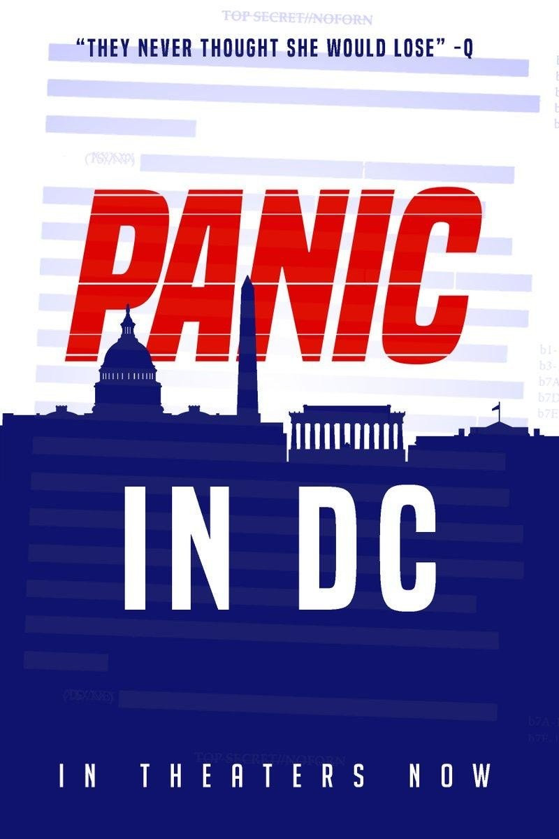 Panic in DC.jpg