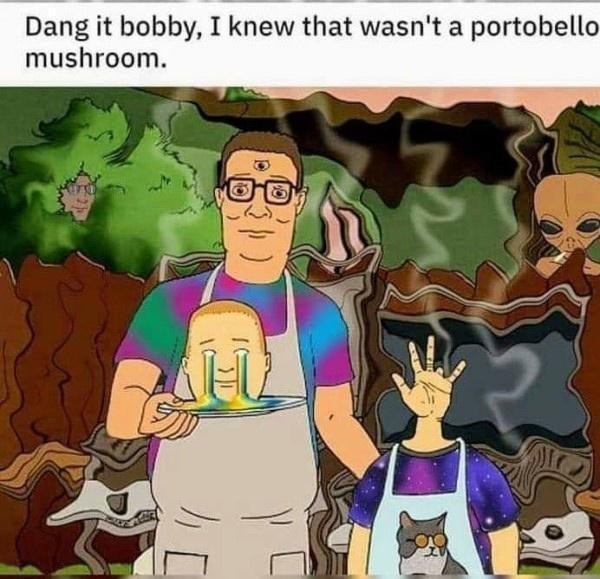 person-dang-bobby-knew-wasnt-portobello-mushroom.jpeg