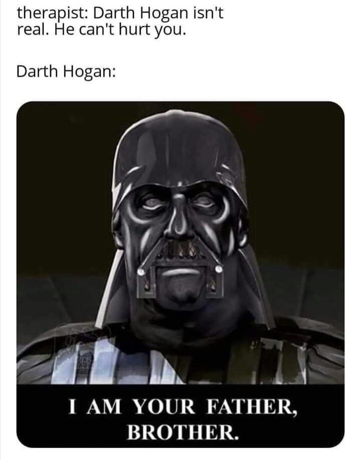 person-therapist-darth-hogan-isnt-real-he-cant-hurt-darth-hogan-am-father-brother.jpeg