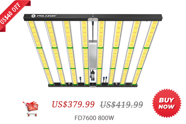 phb10d_led_grow_light-_2_bb041c28-0160-4663-a034-e7a5bc734daf (1).png