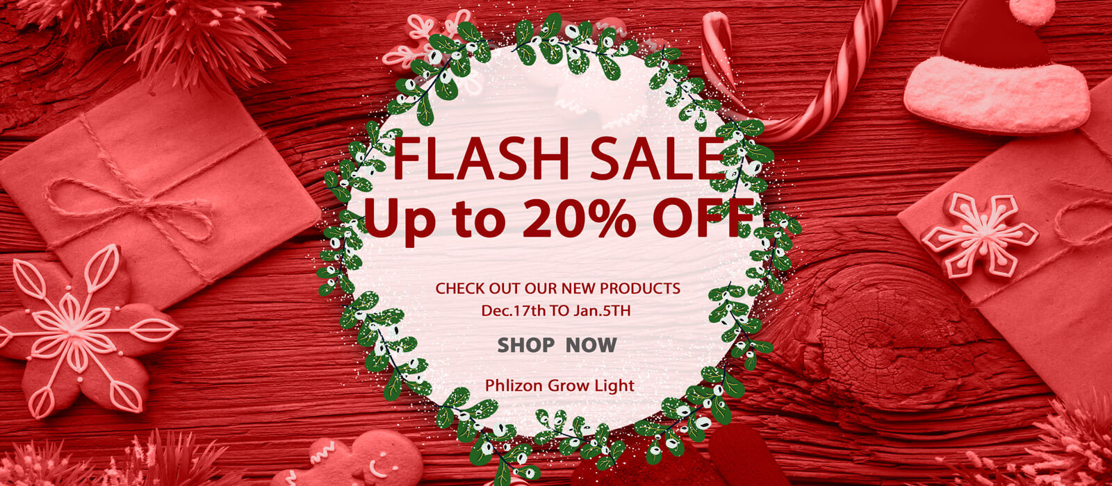 phlizon_christmas_sale_led.jpg