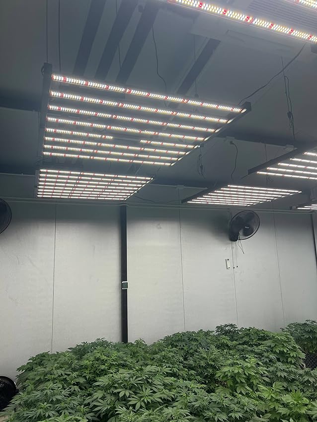 phlizon_fd6000_640w_led_grow_lights (2).jpeg