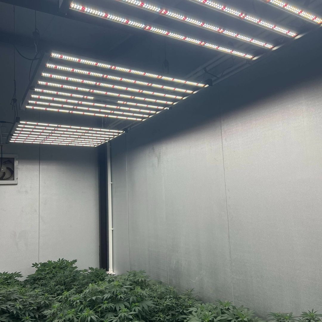 phlizon_fd6000_led_grow_light (1).jpg