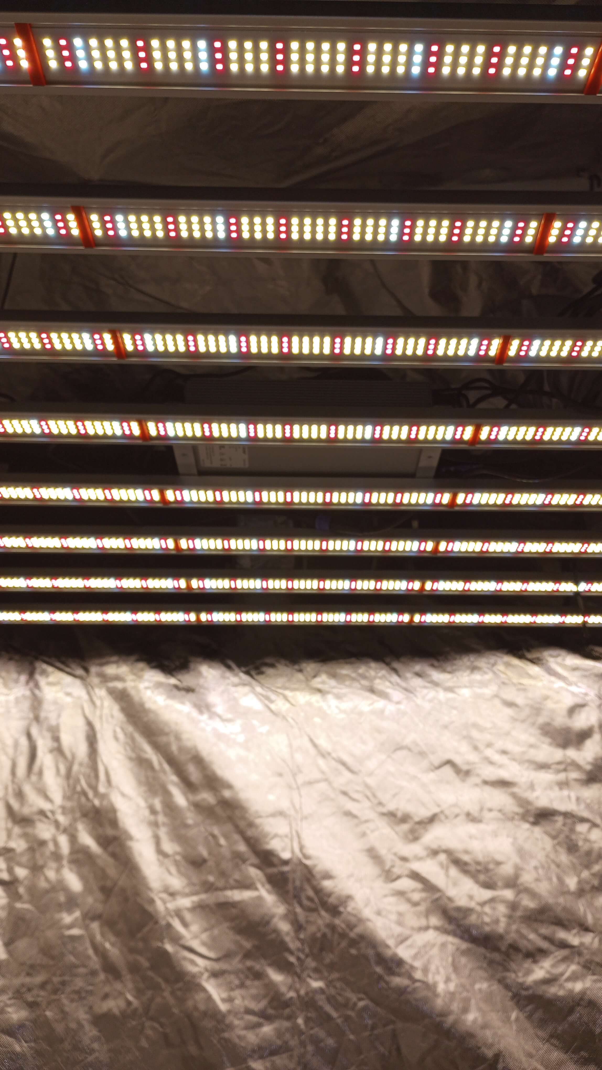 phlizon_fd9600_1000w_led_Grow_light_full-spectrum (1).jpeg