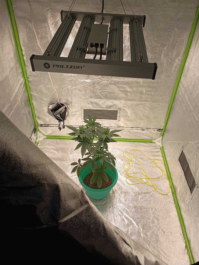 phlizon_phx4_led_grow_light.jpg