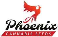 PhoenixSeeds_logo (1).png