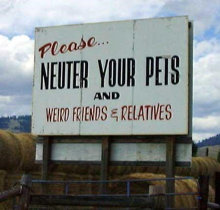 please-neuter-pets-and-weird-friends-relatives.jpeg