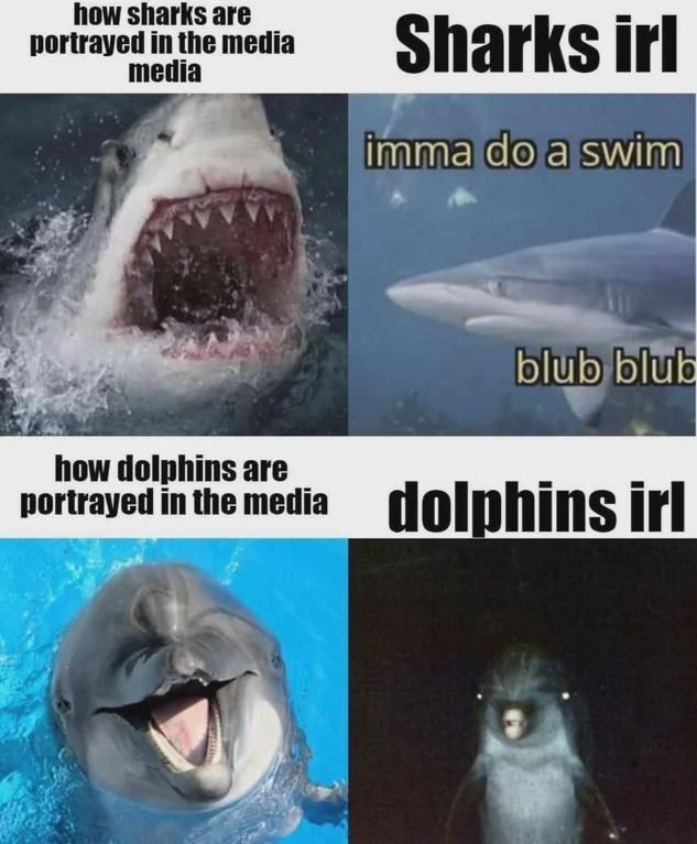 portrayed-media-media-sharks-irl-imma-do-swim-blub-blub-dolphins-are-portrayed-media-dolphins...jpeg