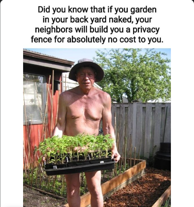 Privacy fences.png