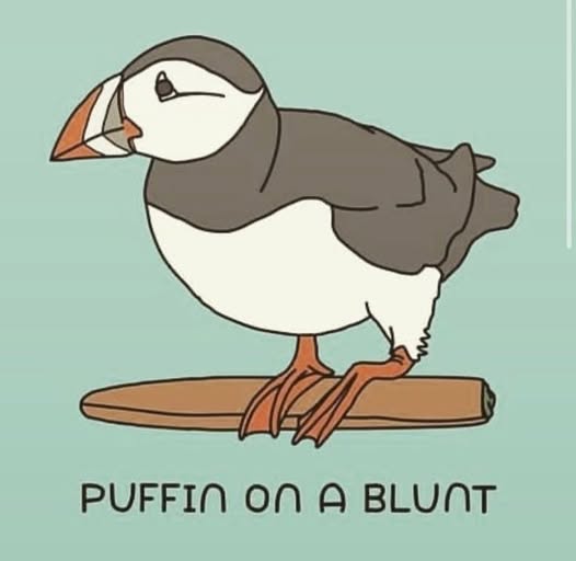 puffin.jpg