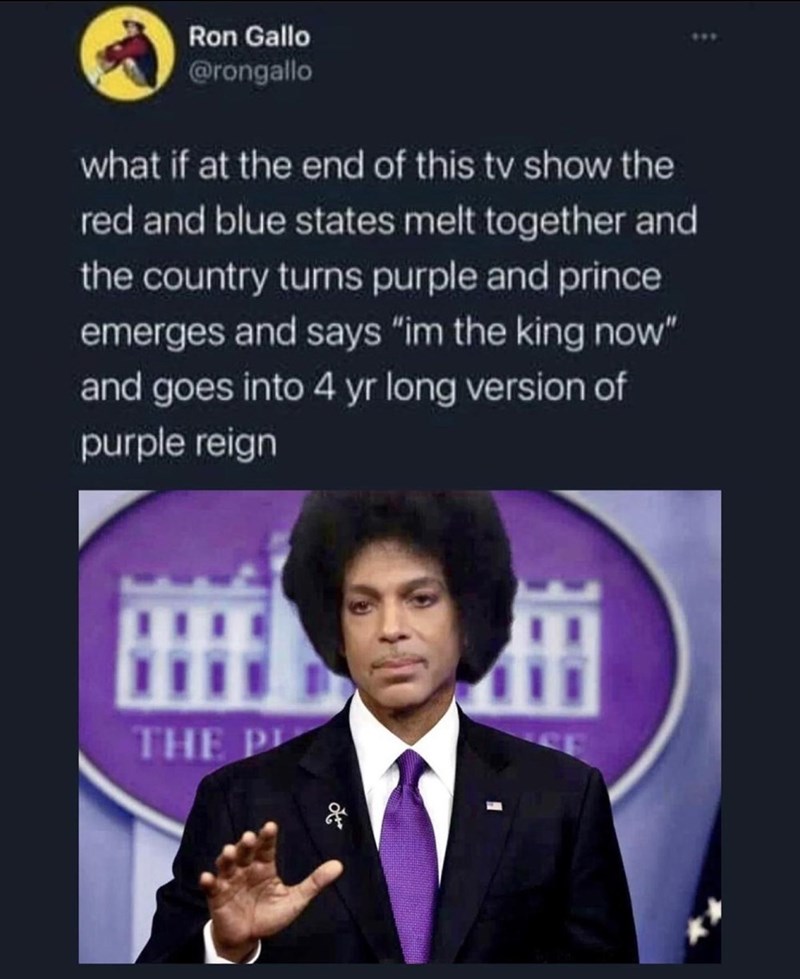 purple-and-prince-emerges-and-says-im-king-now-and-goes-into-4-yr-long-version-purple-reign-pl.jpeg