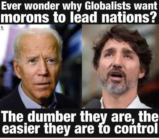 question-wonder-why-biden-trudeau-globalists-dumber-they-are-easier-to-control-996818872.jpg