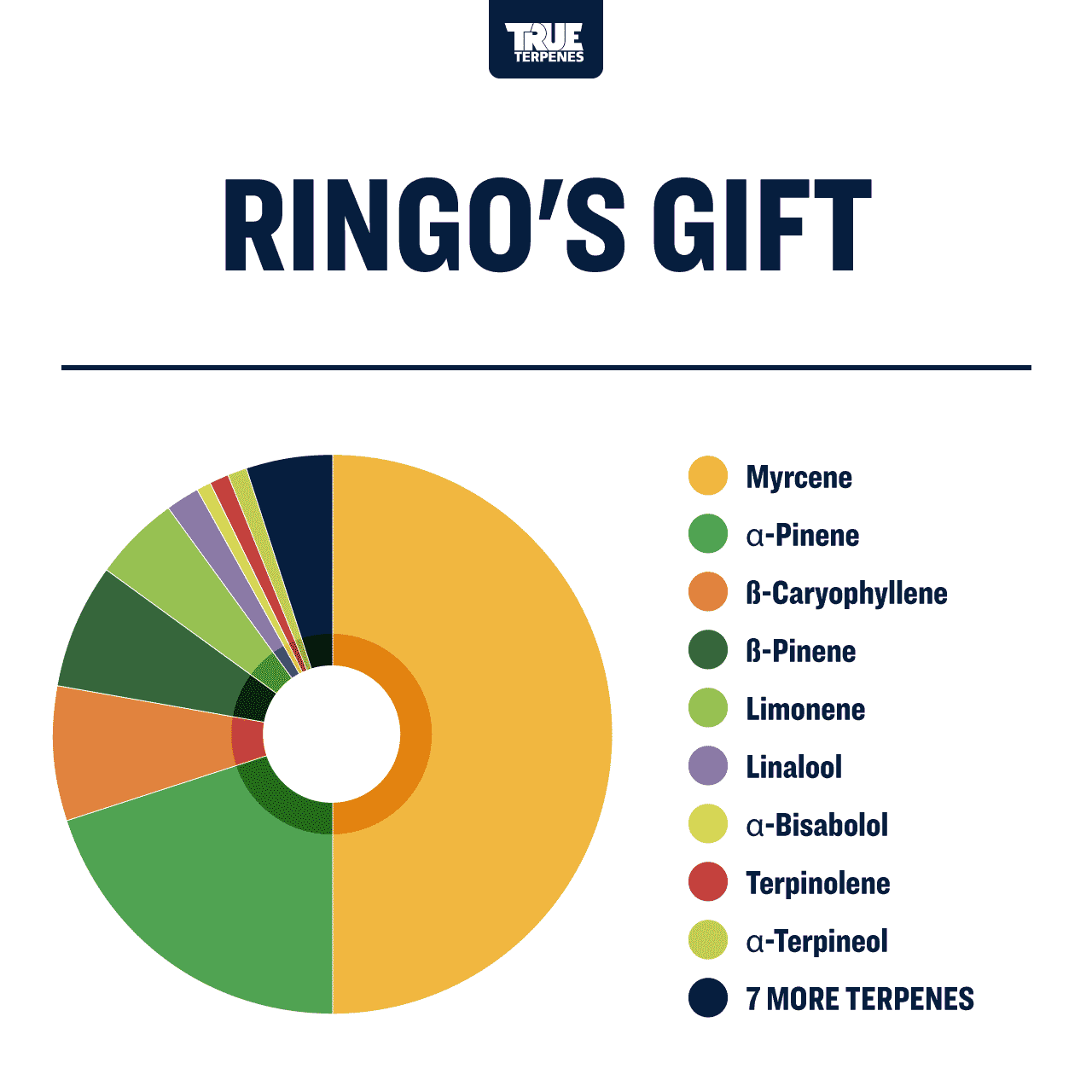 Ringos-Gift.png