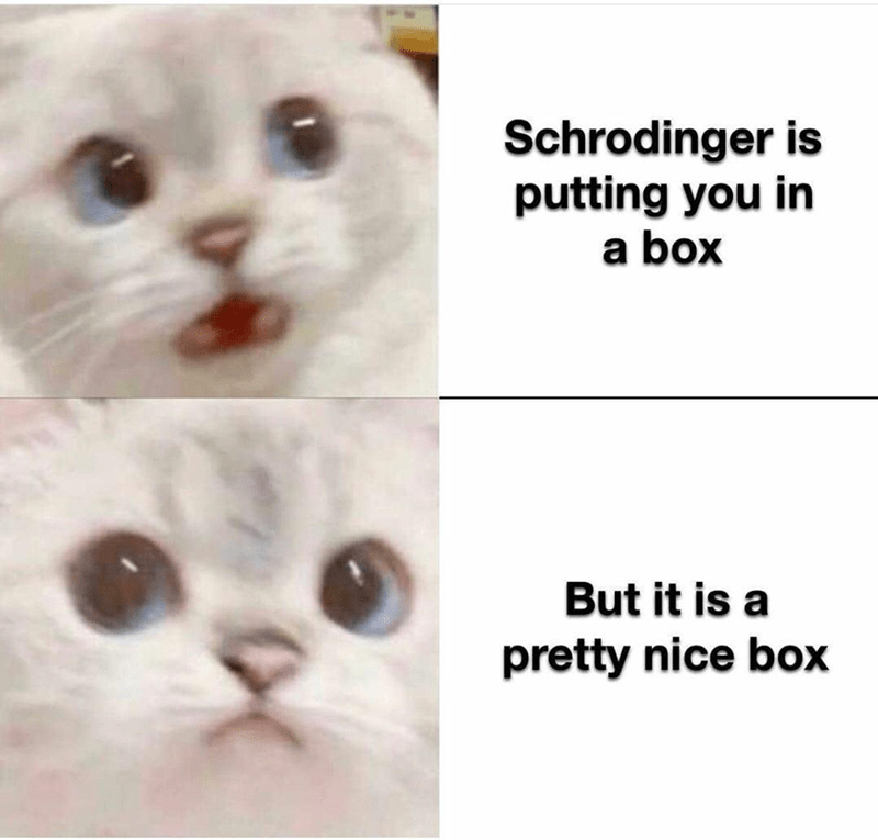 schrodinger-is-putting-box-but-is-pretty-nice-box.png