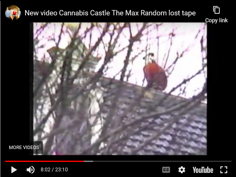 Screenshot 2023-06-30 at 14-17-45 The Story Of The Legendary Dutch Cannabis Castle.png