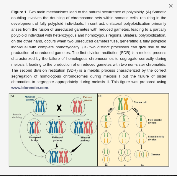 screenshot-www.mdpi.com-2024.07.16-13_56_56.png