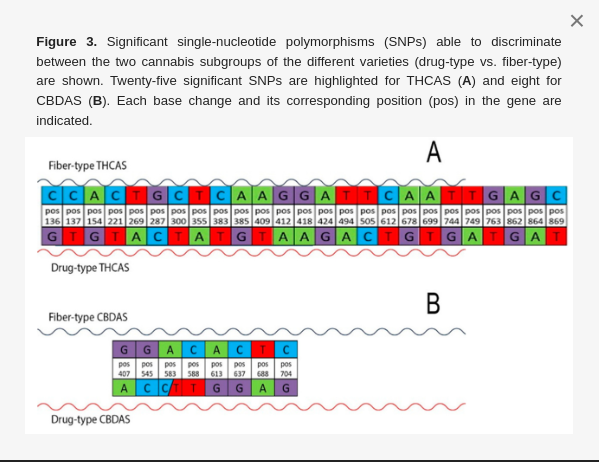 screenshot-www_mdpi_com-2024_09_07-21_25_46.png