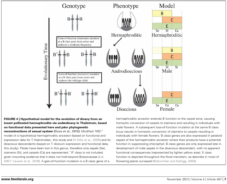 screenshot-www_researchgate_net-2024_10_01-08_59_24.png