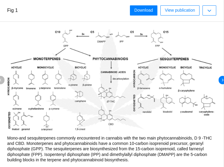 screenshot-www_researchgate_net-2024_11_06-11_18_24.png