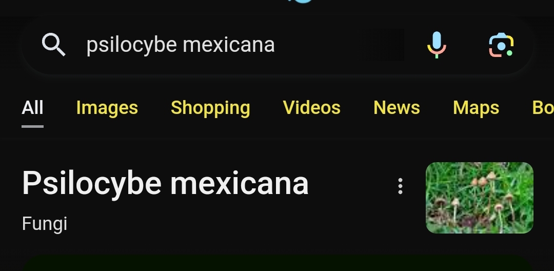 Screenshot_20231231_121704_Samsung Internet.jpg